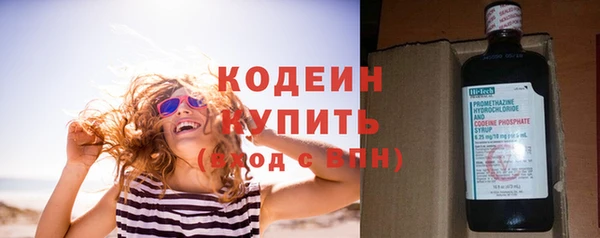прущие грибы Армянск