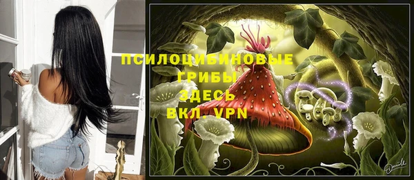 прущие грибы Армянск