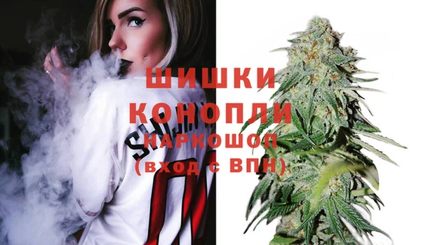 прущие грибы Армянск