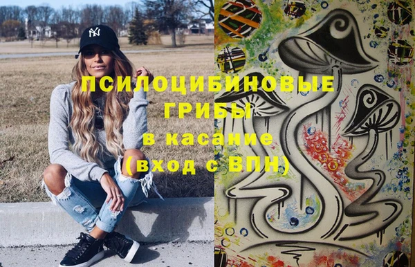 прущие грибы Армянск