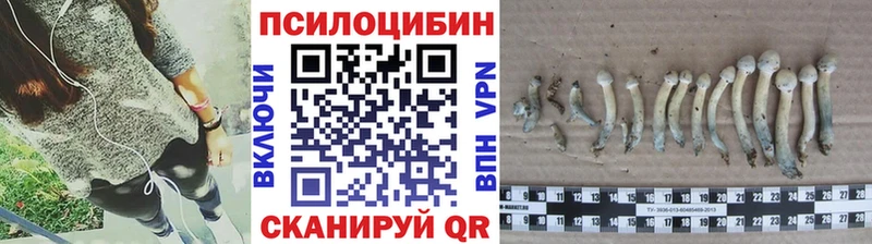 Галлюциногенные грибы мицелий  Новокубанск 